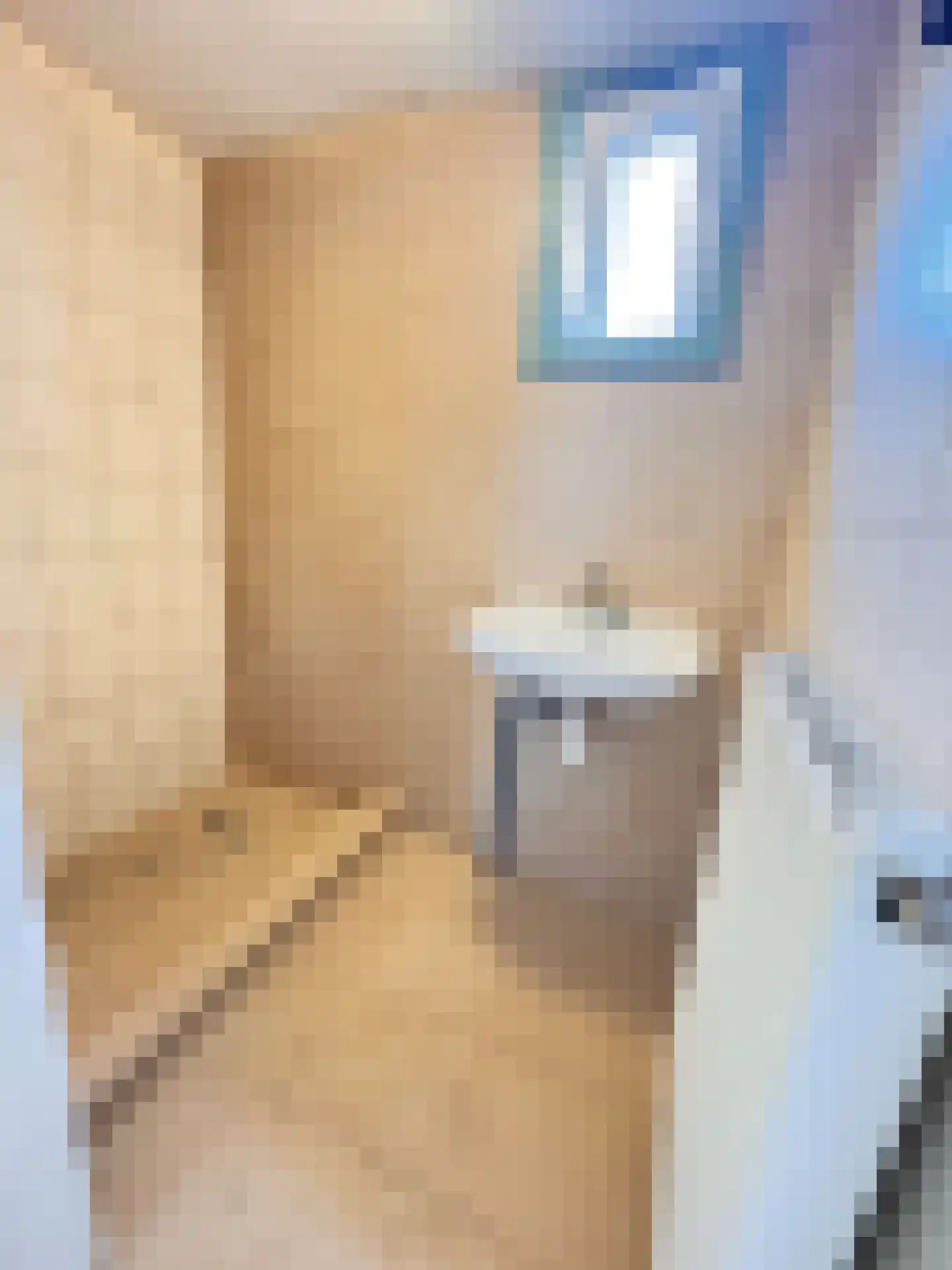 Groenendijk 21 Kloosterzande thumbnail 9