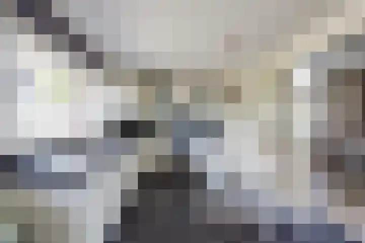Groenendijk 33 Oosteind thumbnail 13