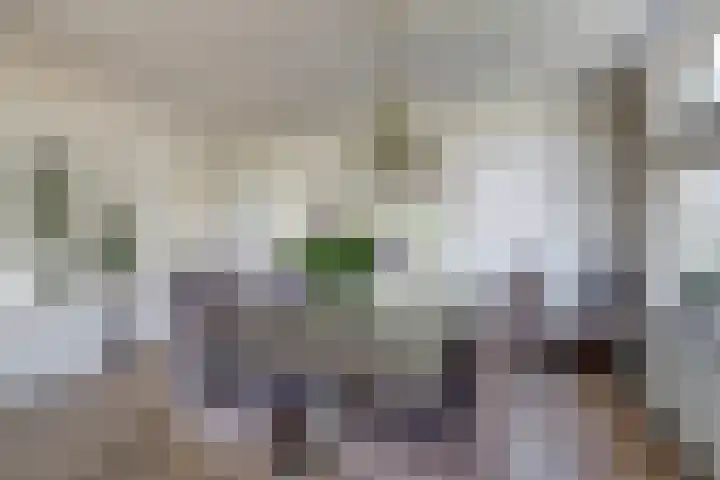 Groenendijk 33 Oosteind thumbnail 17