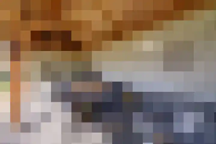 Groenendijk 33 Oosteind thumbnail 44
