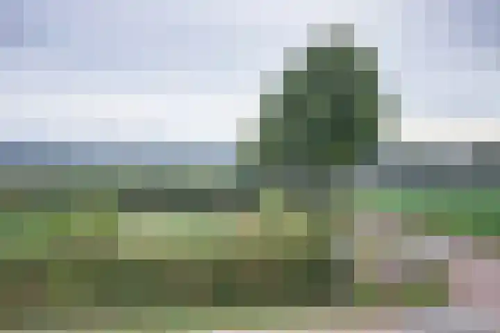 Groenendijk 33 Oosteind thumbnail 46