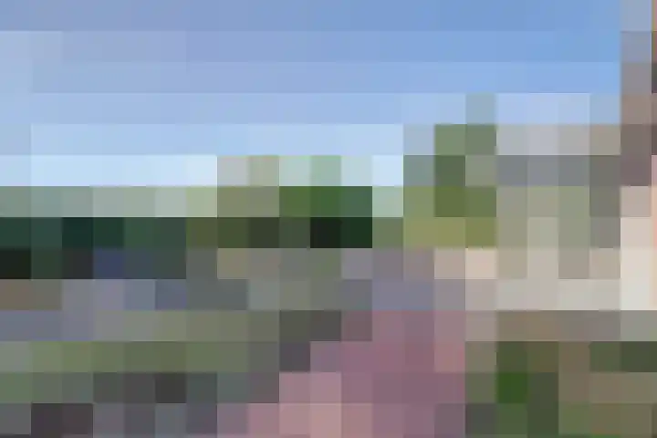 Groenendijk 33 Oosteind thumbnail 47