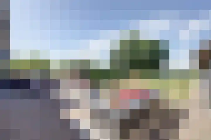 Groenendijk 33 Oosteind thumbnail 48