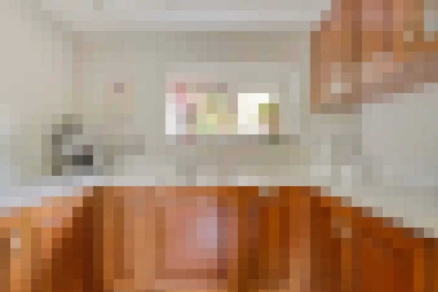 Groenendijk 331 Nieuwerkerk aan den IJssel thumbnail 13