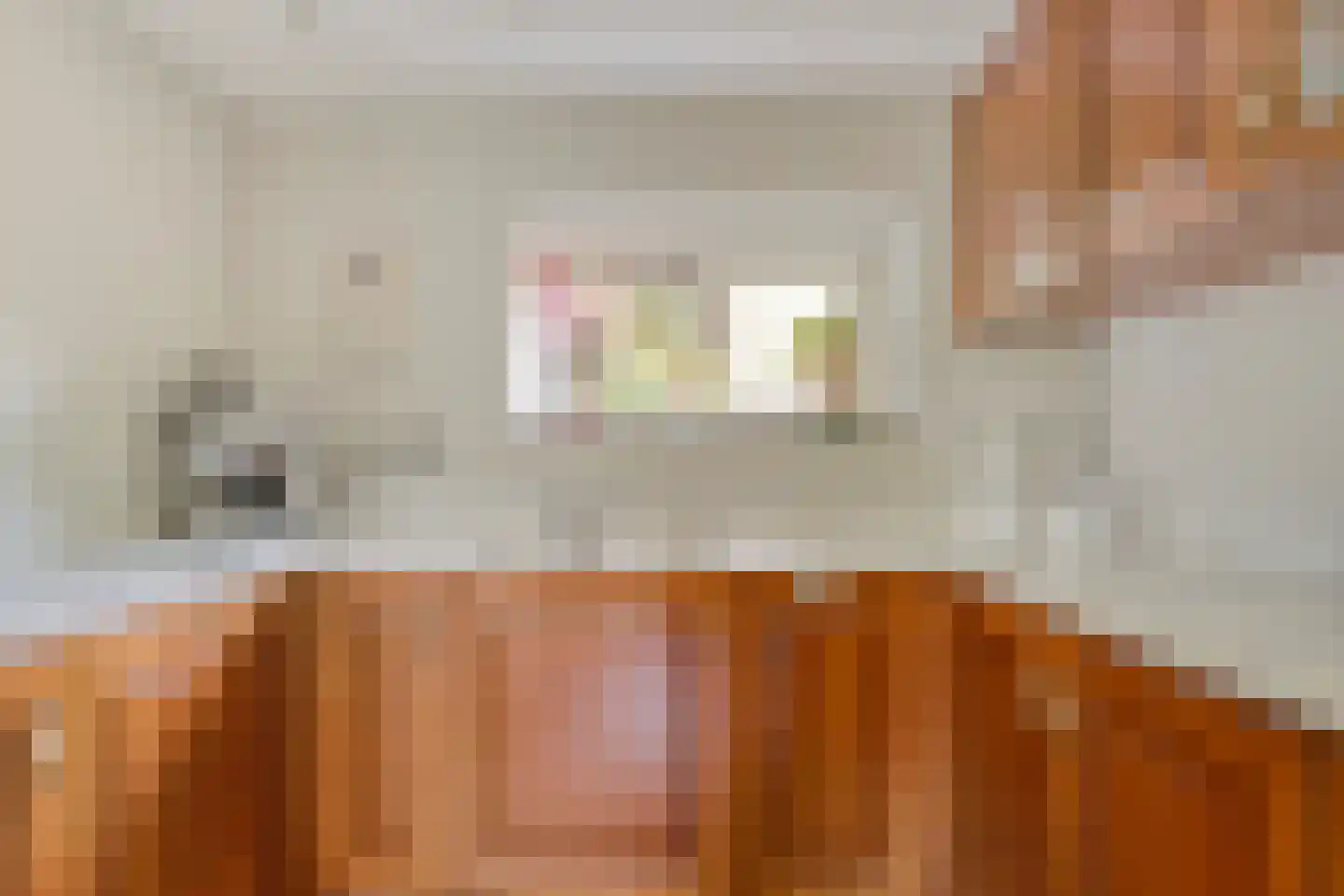 Groenendijk 331 Nieuwerkerk aan den IJssel thumbnail 15