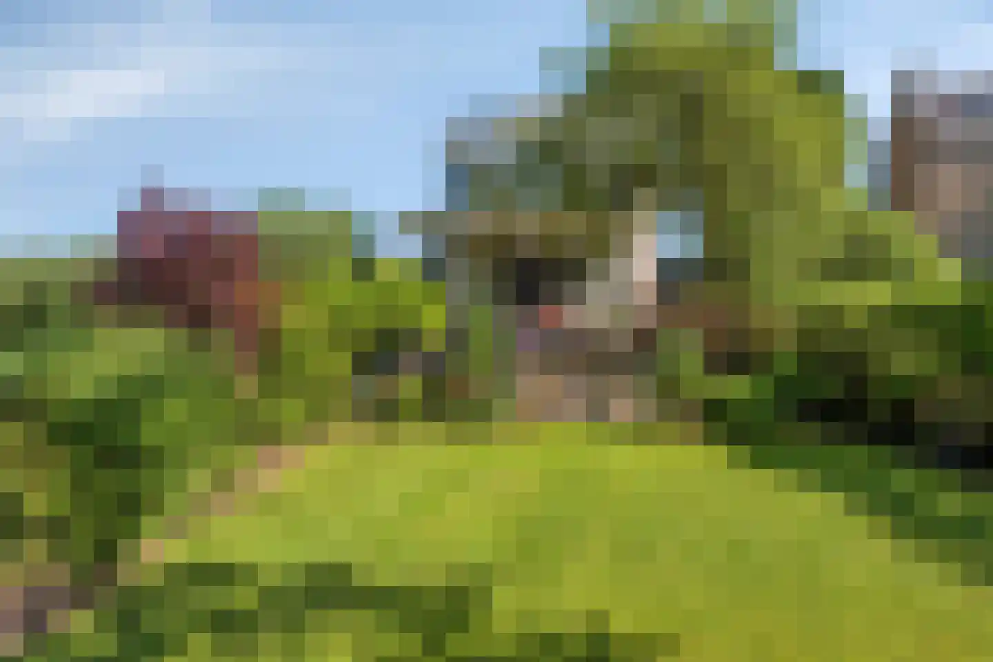 Groenendijk 331 Nieuwerkerk aan den IJssel thumbnail 4