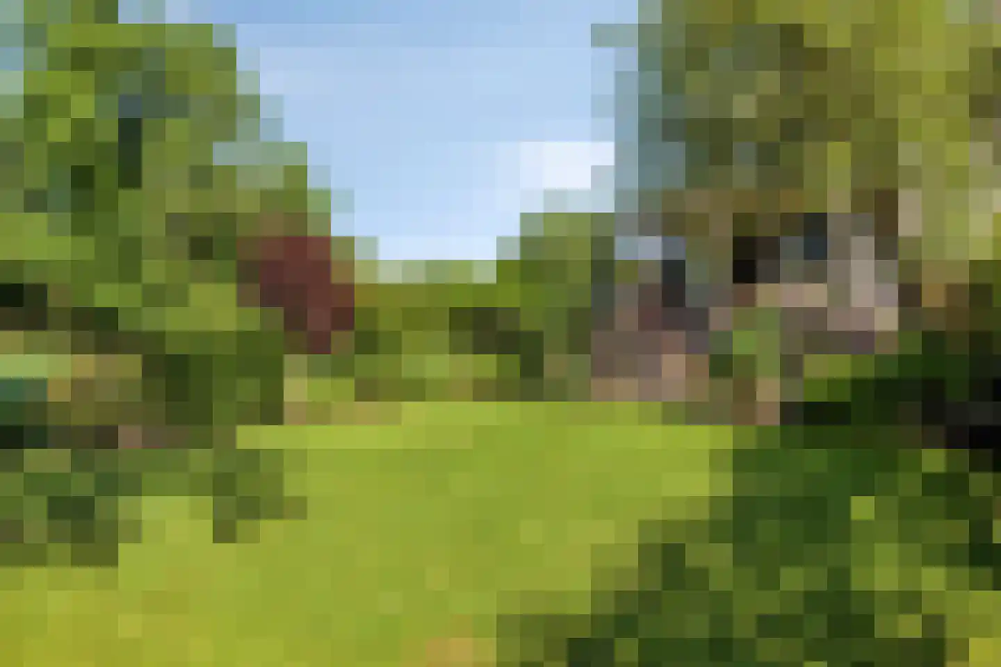 Groenendijk 331 Nieuwerkerk aan den IJssel thumbnail 5