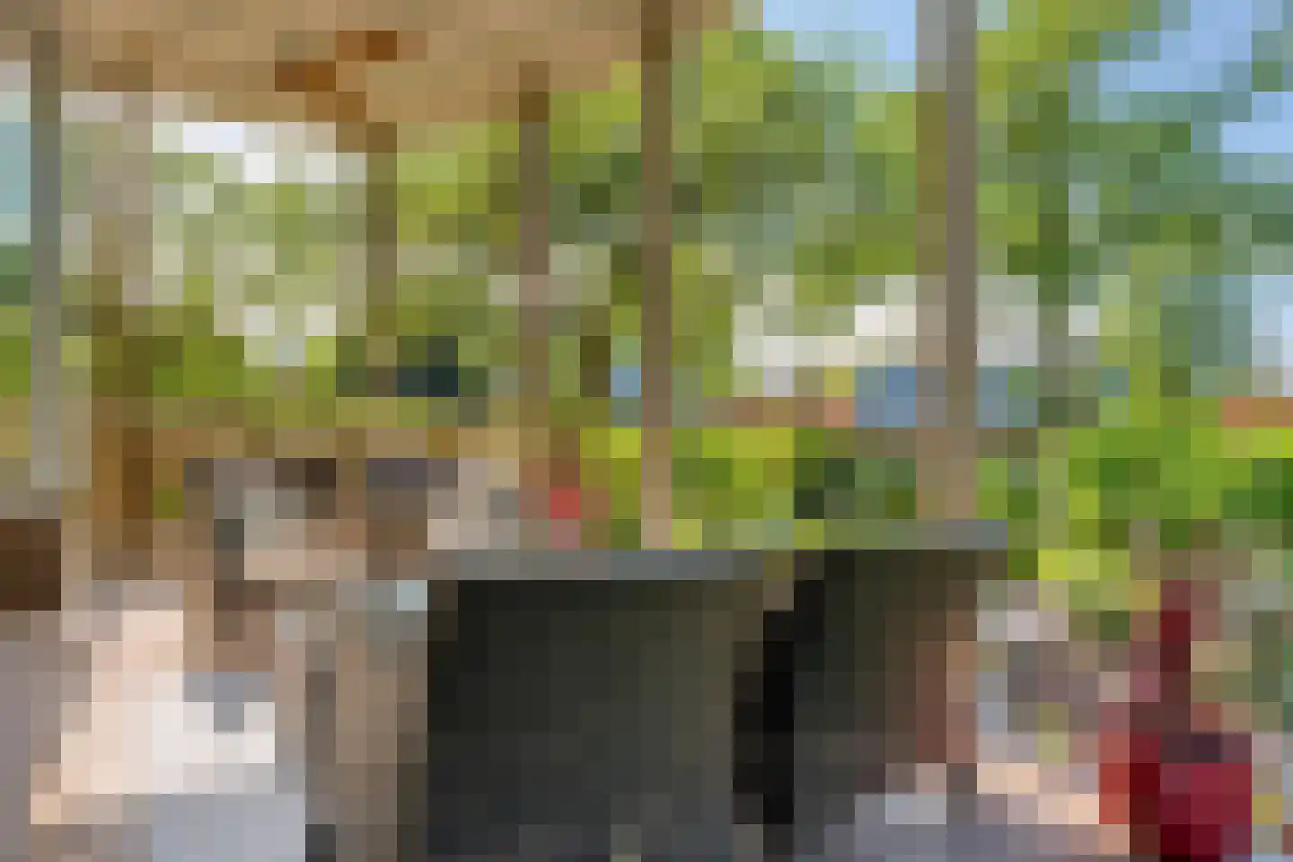 Groenendijk 331 Nieuwerkerk aan den IJssel thumbnail 6
