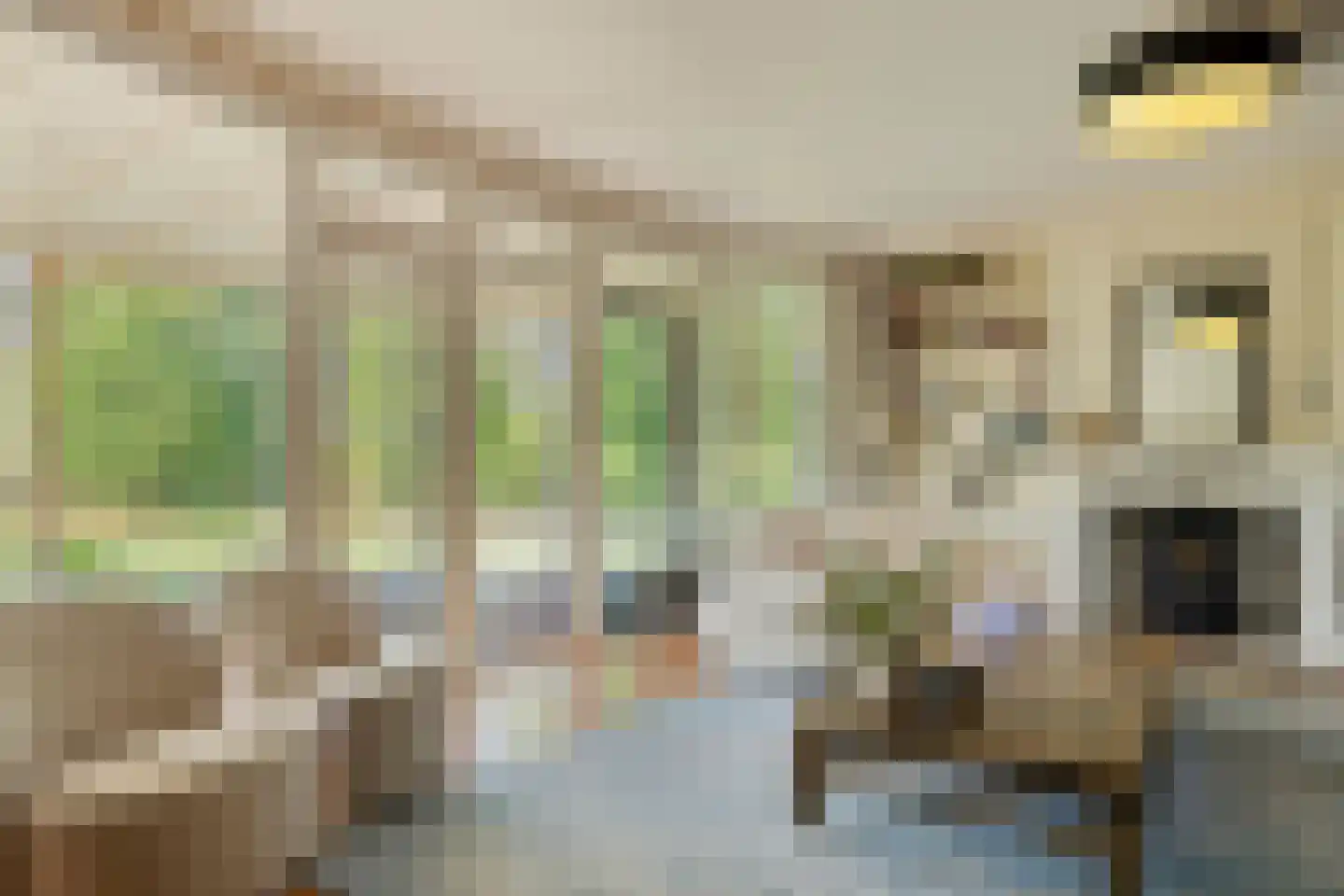Groenendijk 331 Nieuwerkerk aan den IJssel thumbnail 7
