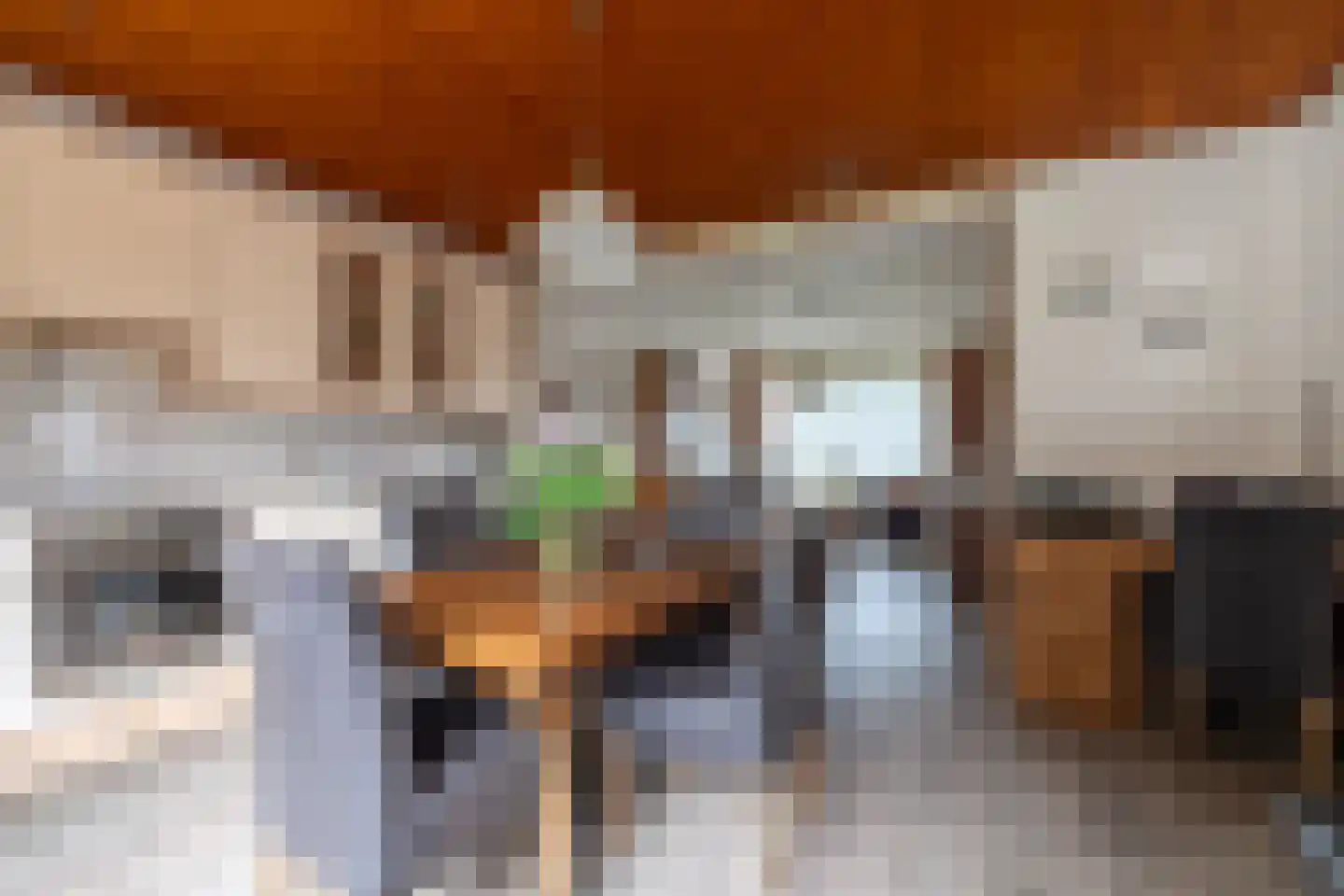 Groenendijk 38 Oosteind thumbnail 13