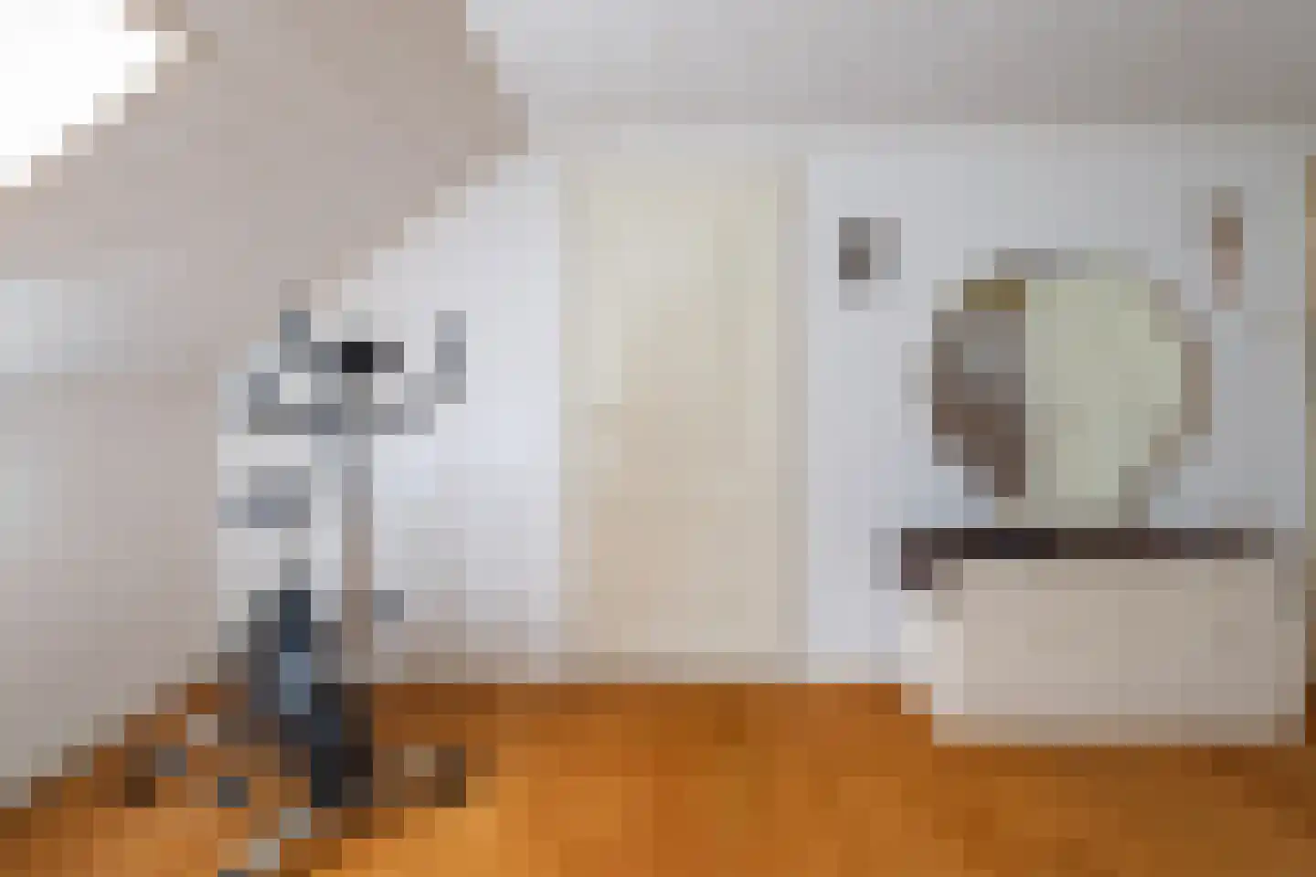 Groenendijk 38 Oosteind thumbnail 37