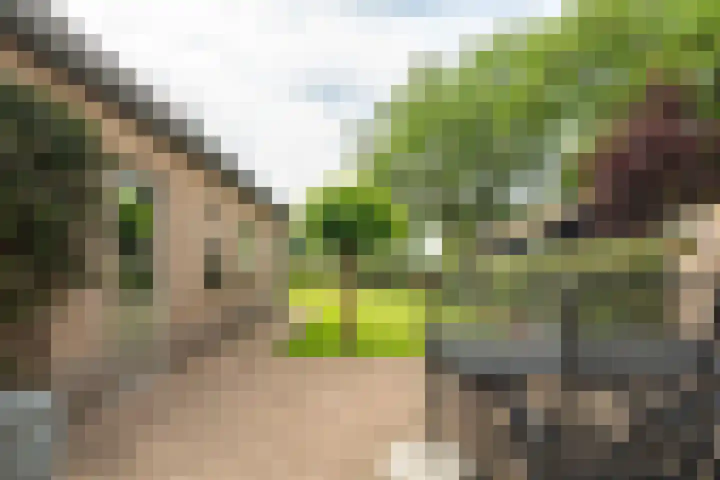 Groenendijk 38 Oosteind thumbnail 51