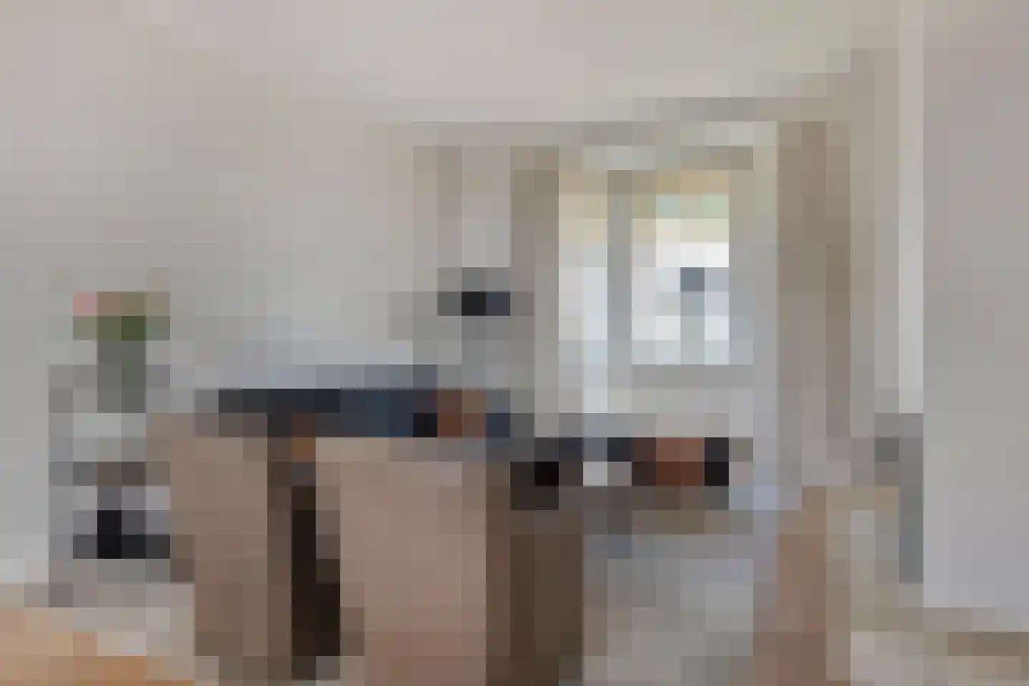 Groenendijk 48 Kloosterzande thumbnail 10