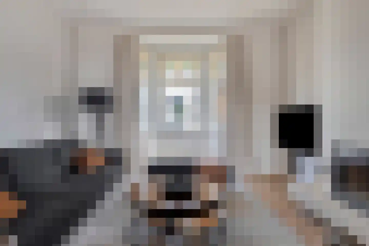 Groenendijk 48 Kloosterzande thumbnail 13