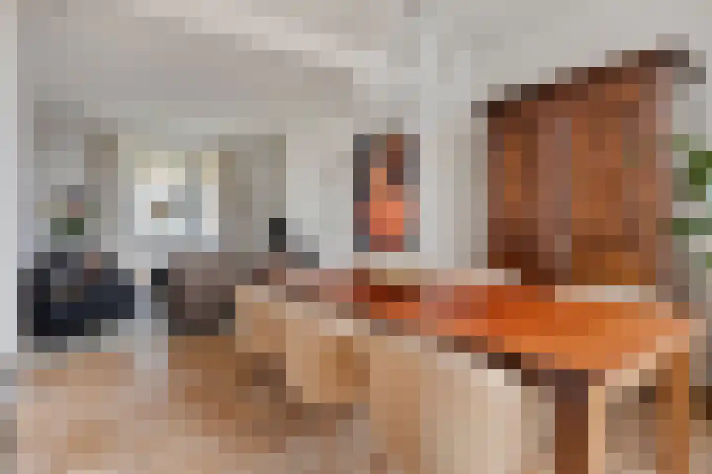 Groenendijk 48 Kloosterzande thumbnail 18