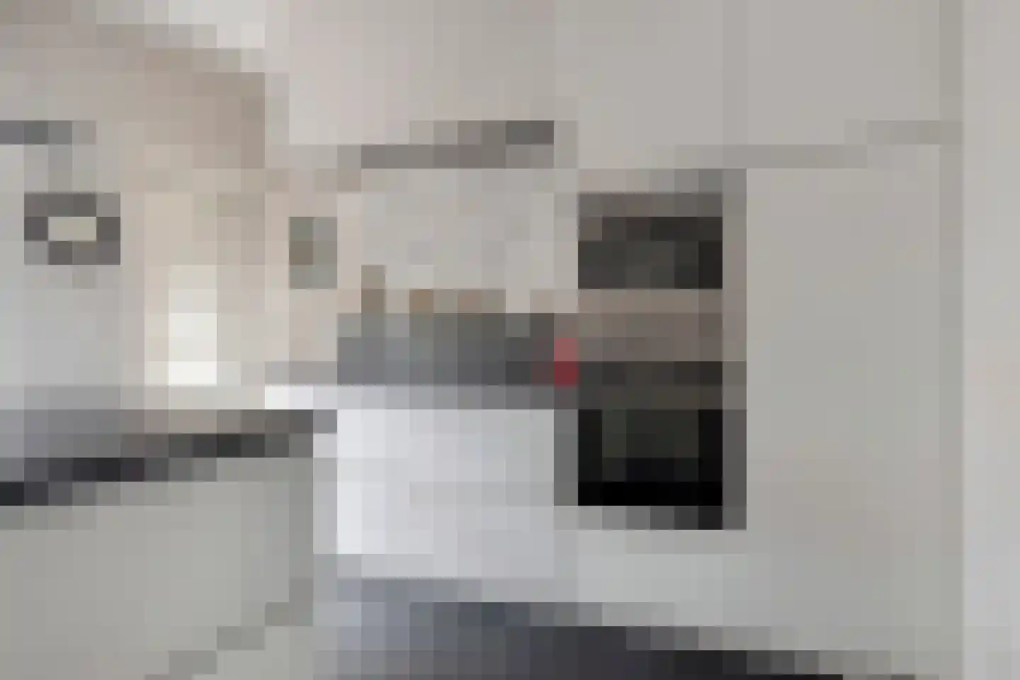 Groenendijk 48 Kloosterzande thumbnail 22