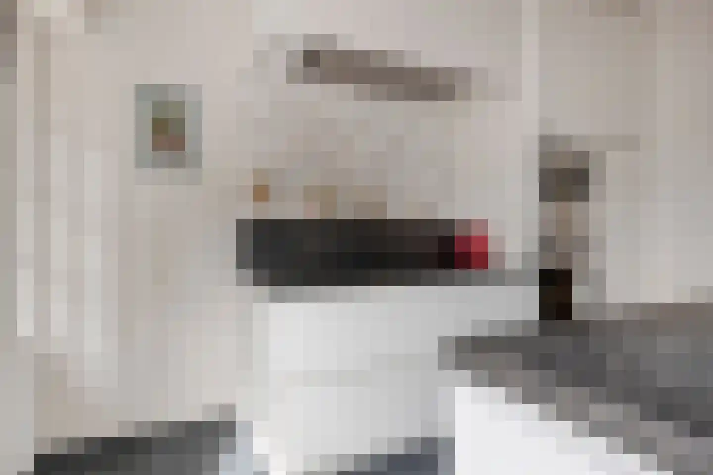 Groenendijk 48 Kloosterzande thumbnail 23