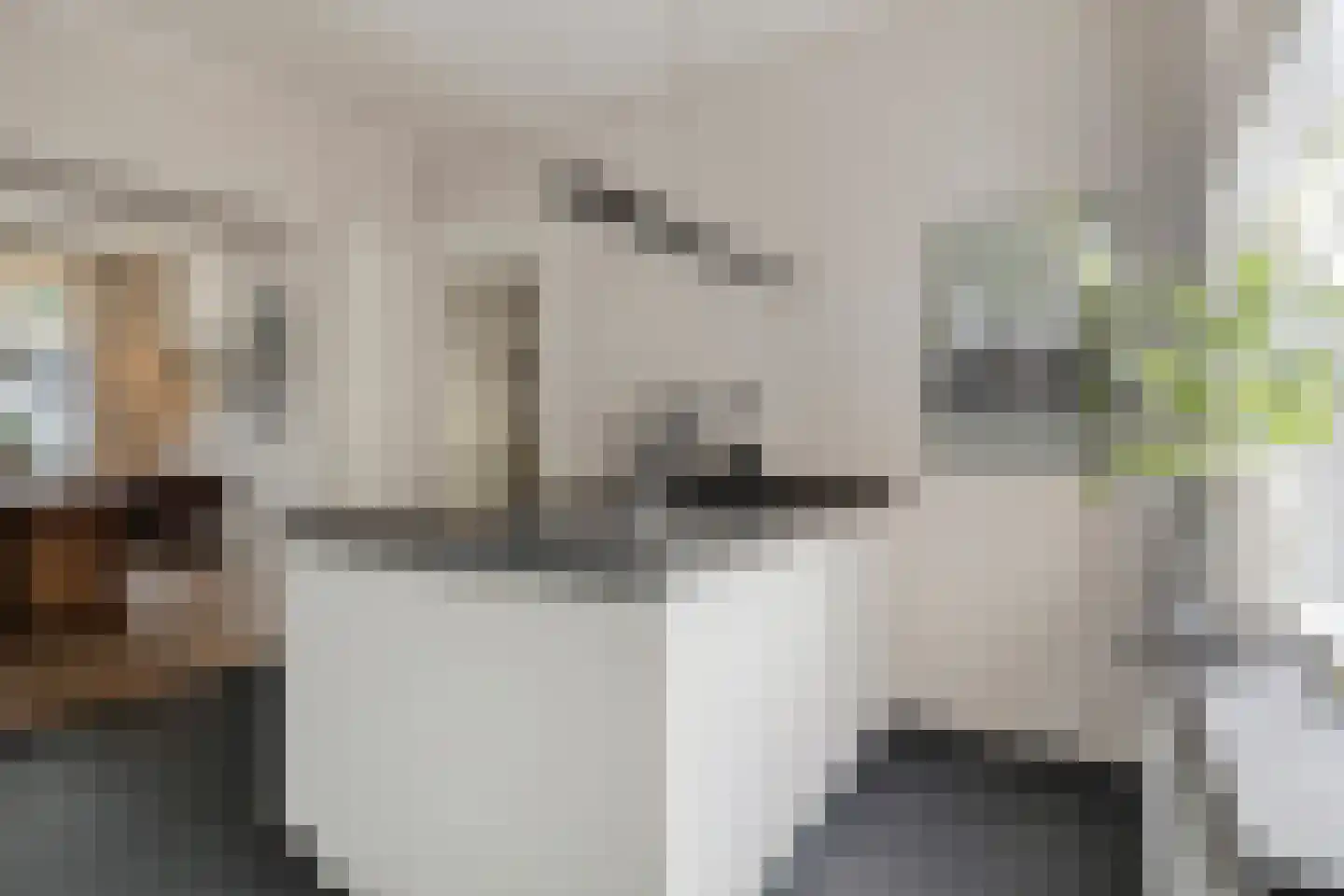 Groenendijk 48 Kloosterzande thumbnail 25