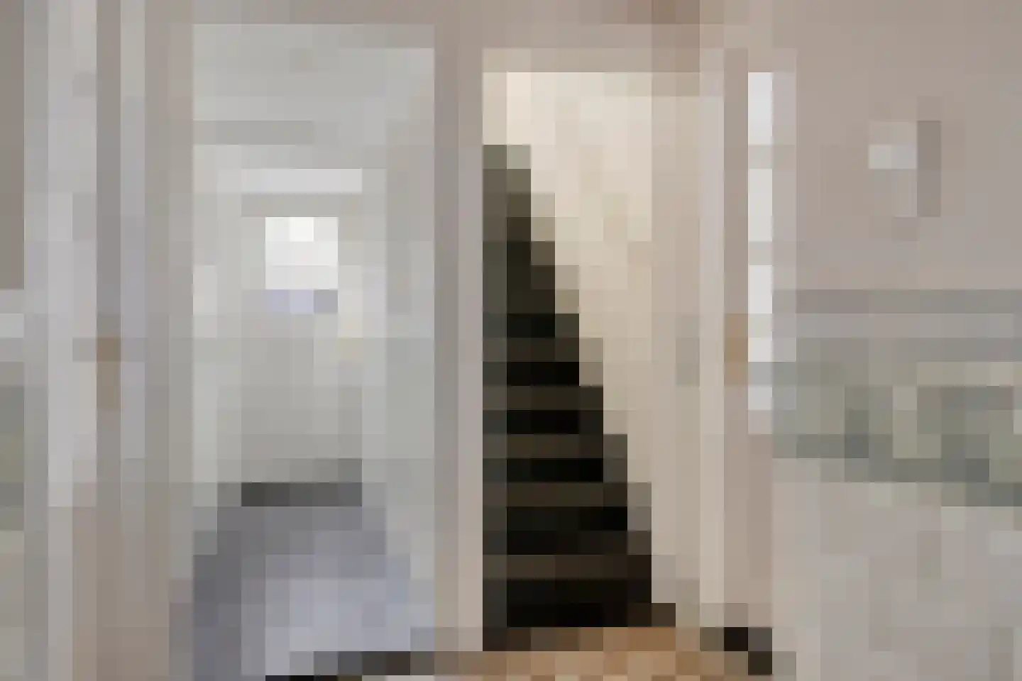Groenendijk 48 Kloosterzande thumbnail 33