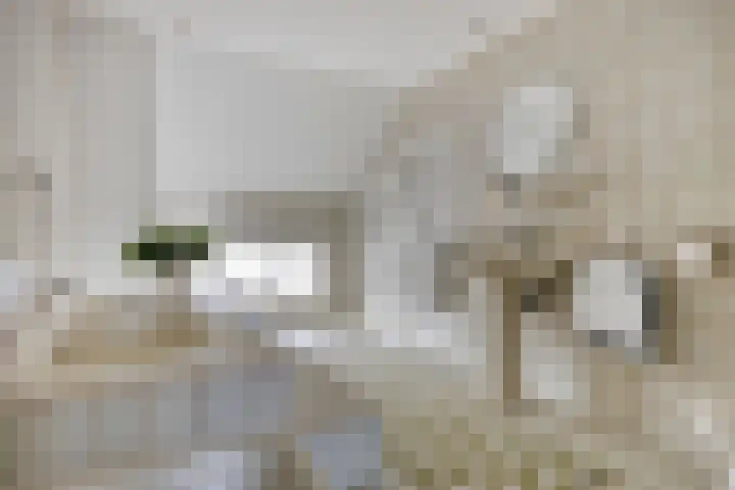 Groenendijk 48 Kloosterzande thumbnail 41