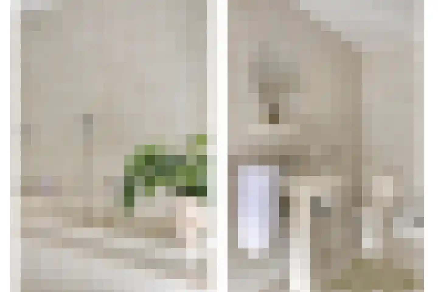 Groenendijk 48 Kloosterzande thumbnail 43