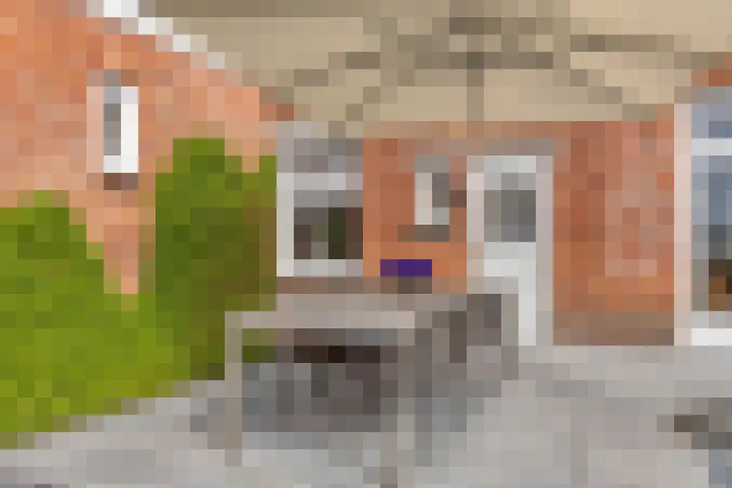 Groenendijk 48 Kloosterzande thumbnail 50