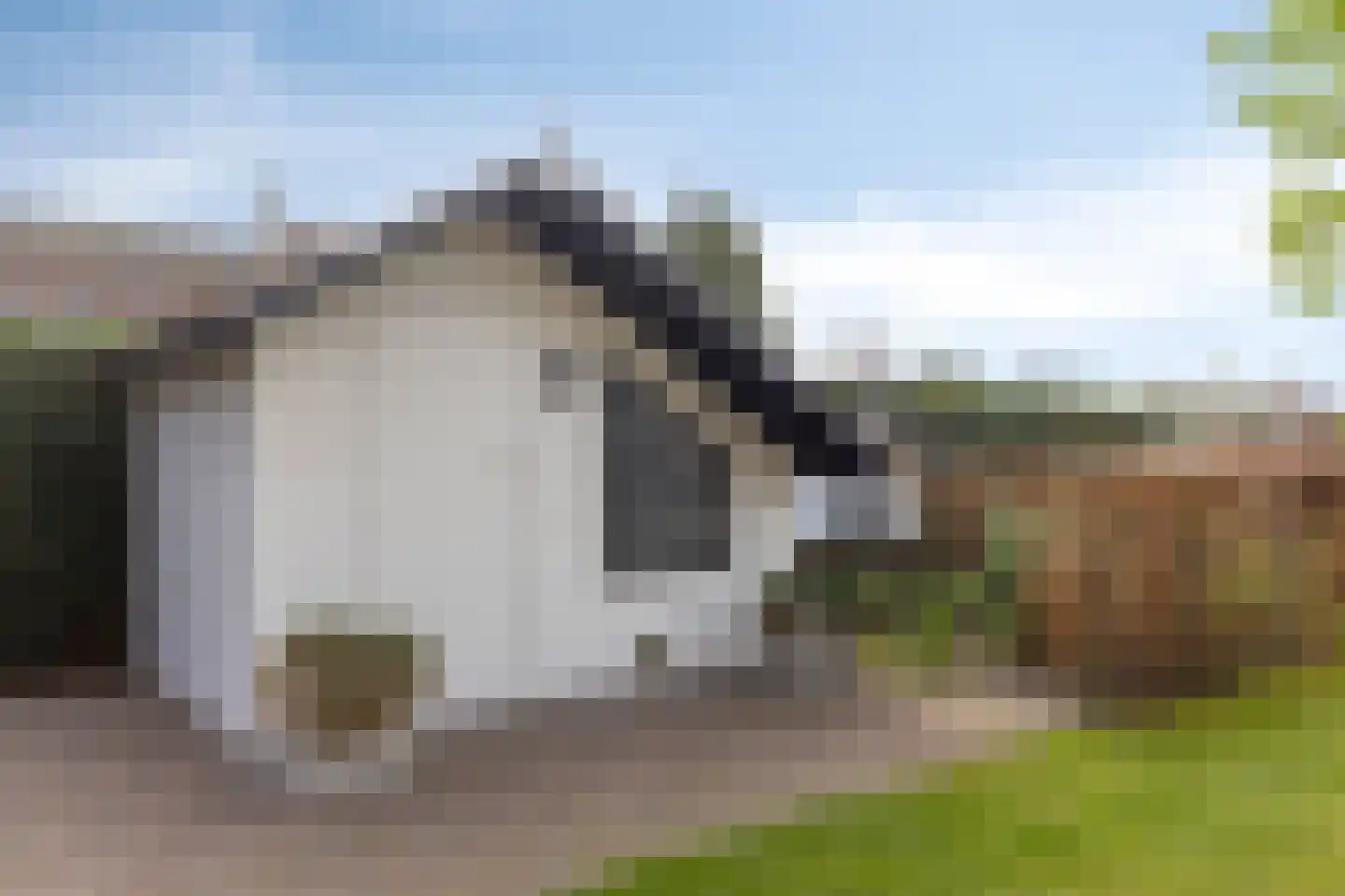 Groenendijk 48 Kloosterzande thumbnail 55
