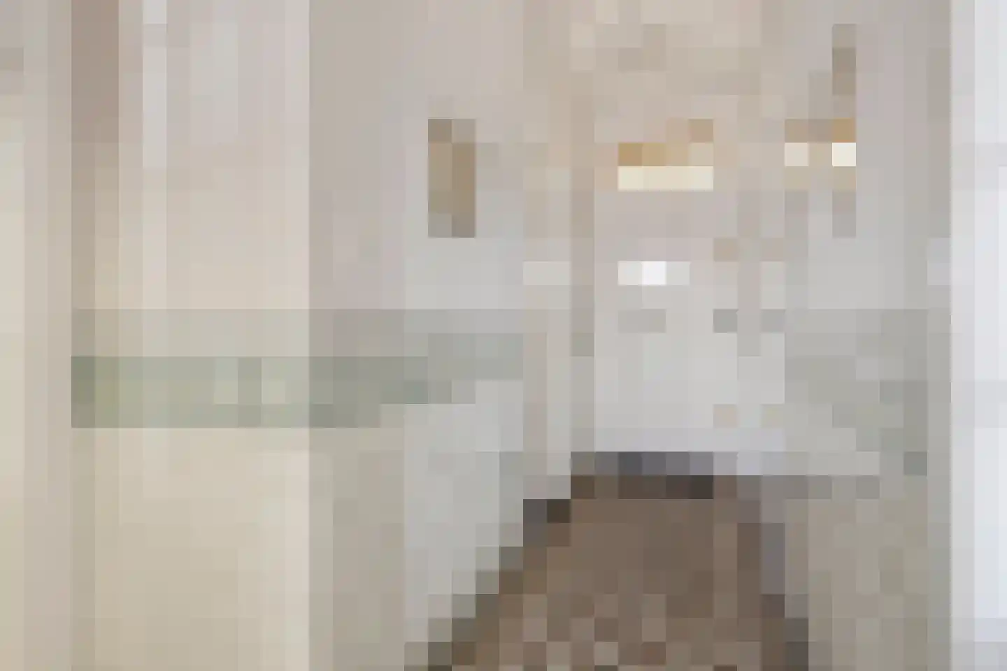 Groenendijk 48 Kloosterzande thumbnail 7