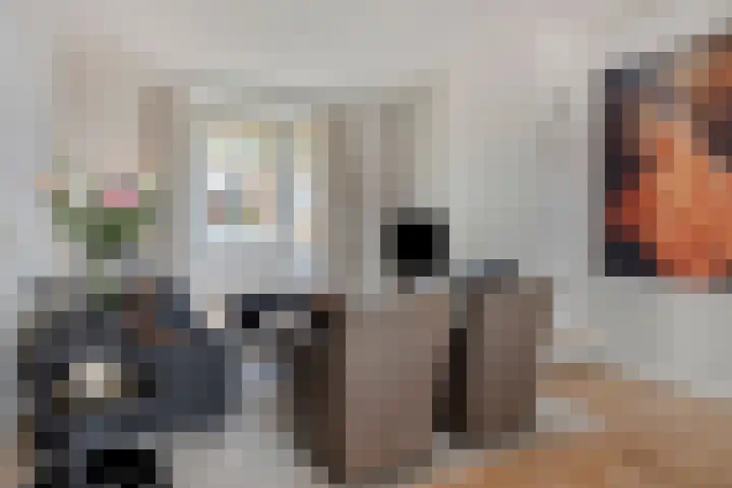 Groenendijk 48 Kloosterzande thumbnail 9