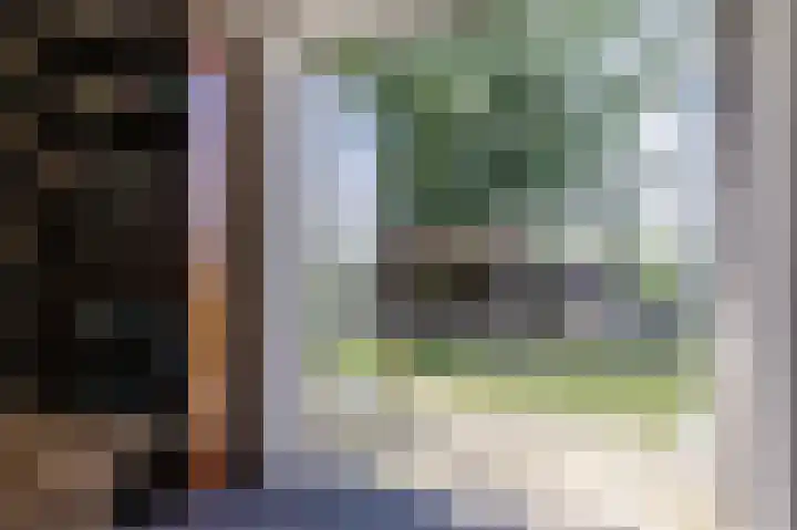 Groenendijk 56 Lage Zwaluwe thumbnail 11