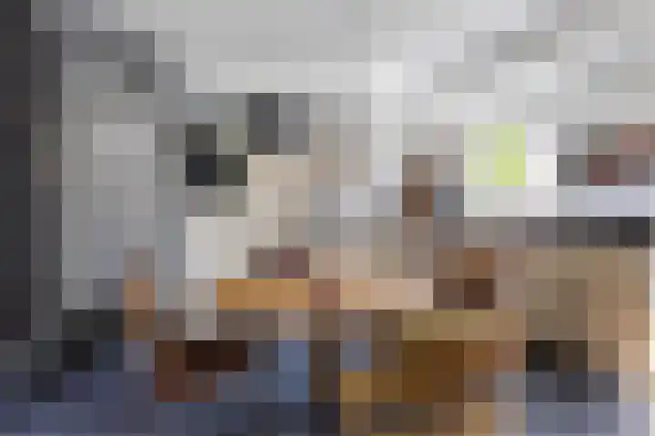 Groenendijk 56 Lage Zwaluwe thumbnail 13