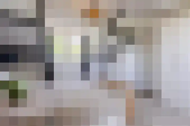 Groenendijk 56 Lage Zwaluwe thumbnail 15