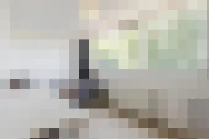 Groenendijk 56 Lage Zwaluwe thumbnail 16