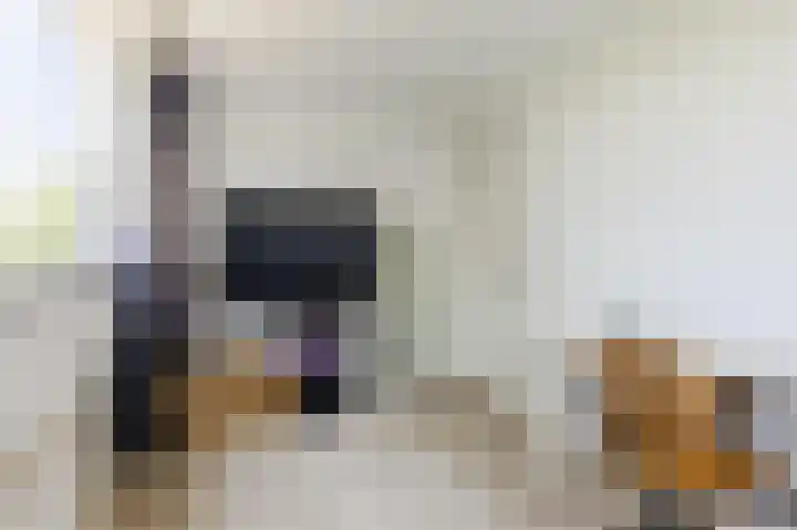Groenendijk 56 Lage Zwaluwe thumbnail 17