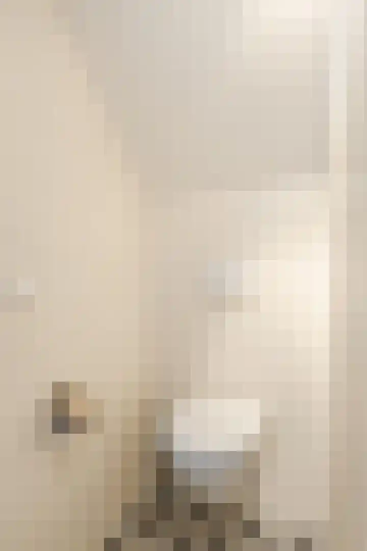 Groenendijk 56 Lage Zwaluwe thumbnail 20