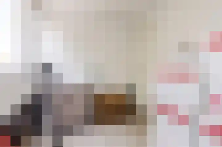 Groenendijk 56 Lage Zwaluwe thumbnail 22