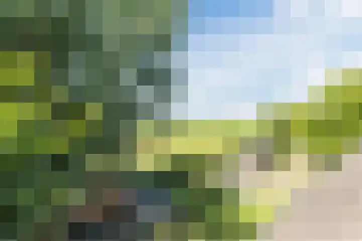 Groenendijk 56 Lage Zwaluwe thumbnail 26