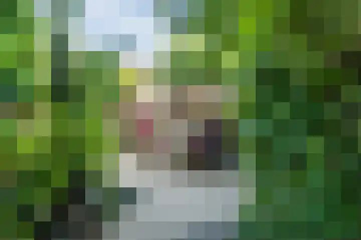 Groenendijk 56 Lage Zwaluwe thumbnail 27