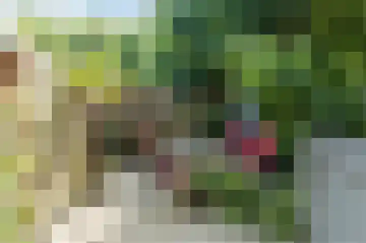 Groenendijk 56 Lage Zwaluwe thumbnail 28