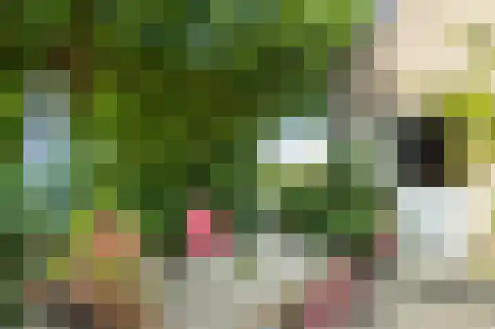 Groenendijk 56 Lage Zwaluwe thumbnail 29
