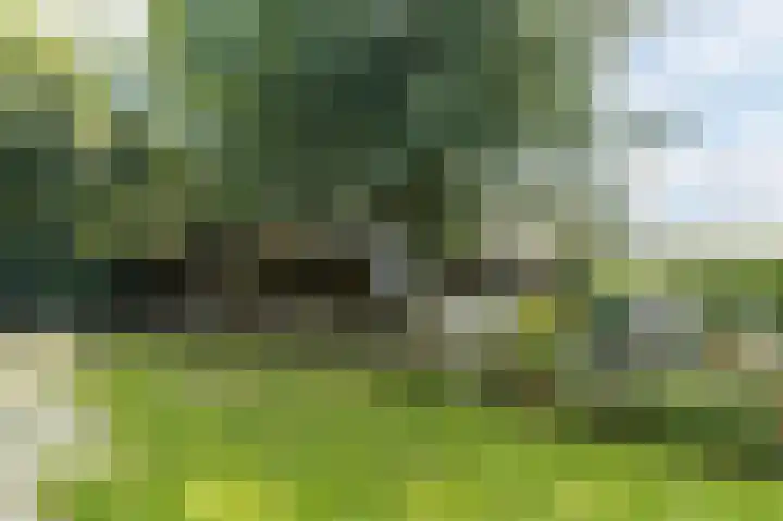 Groenendijk 56 Lage Zwaluwe thumbnail 30