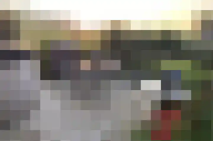Groenendijk 56 Lage Zwaluwe thumbnail 32