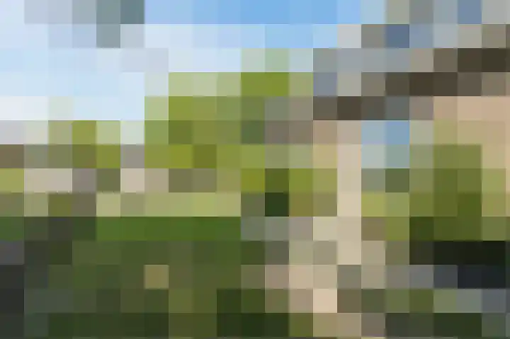 Groenendijk 56 Lage Zwaluwe thumbnail 33