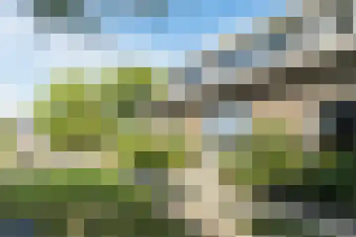 Groenendijk 56 Lage Zwaluwe thumbnail 34