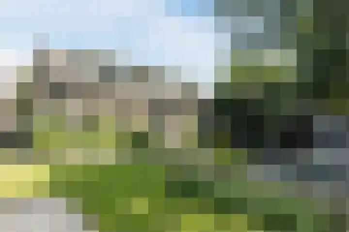 Groenendijk 56 Lage Zwaluwe thumbnail 36