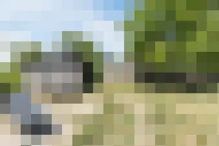 Groenendijk 56 Lage Zwaluwe thumbnail 38