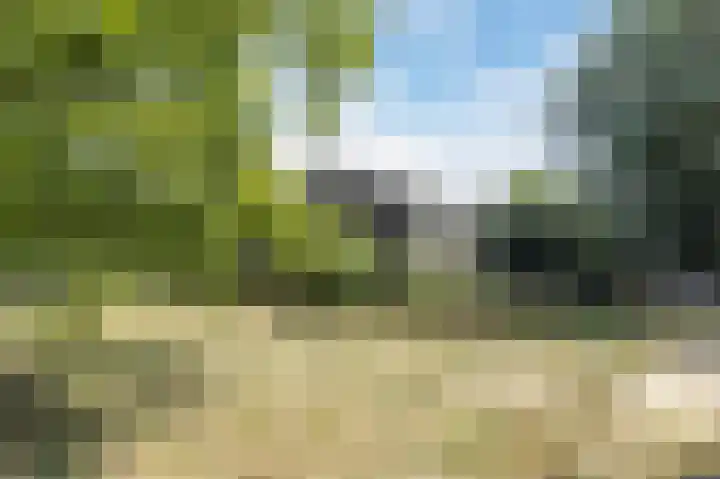 Groenendijk 56 Lage Zwaluwe thumbnail 39