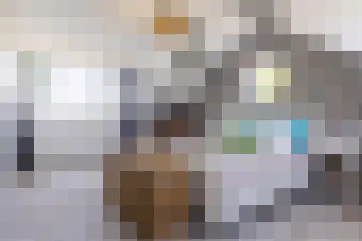 Groenendijk 56 Lage Zwaluwe thumbnail 4