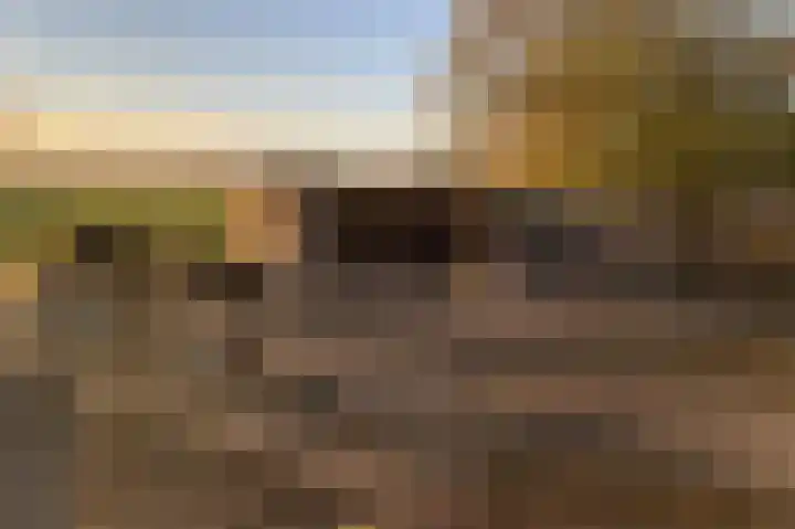 Groenendijk 56 Lage Zwaluwe thumbnail 40