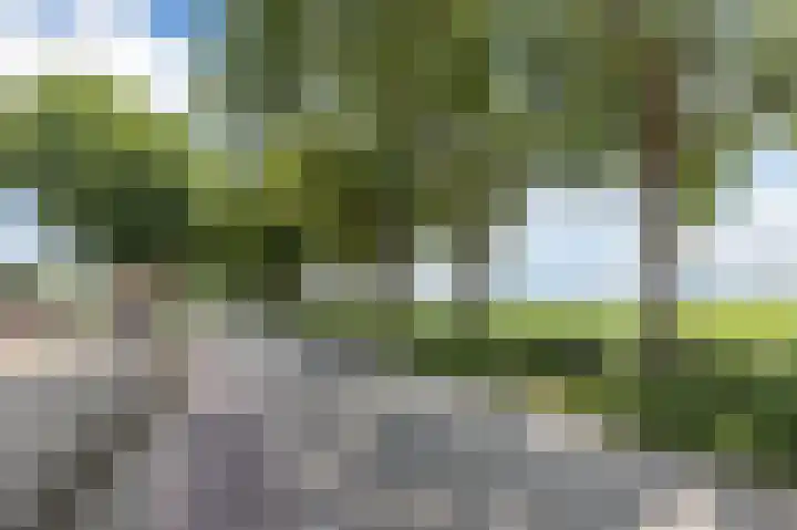 Groenendijk 56 Lage Zwaluwe thumbnail 41